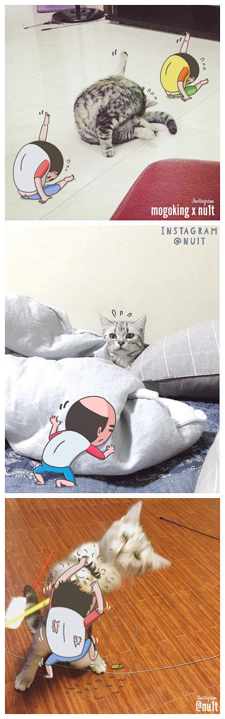 Ins上一位名为nu1t的账号，将照片和...