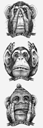 猴子png免抠素材_新图网 https://ixintu.com 素描猴子 动物 猴子头像 大猩猩