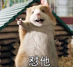少数人见过的风景采集到B表情包