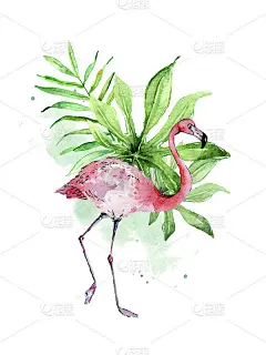 火烈鸟水彩热带叶片和菌株设计