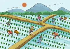 秋收农作图