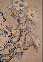 桐园画室 高级白描教程2_1_彦青_来自小红书网页版