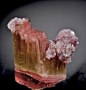 mineralia | mineralists: Gem grade Elbaite with dozens of...