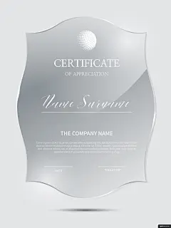 几何边框 授权证书 任命书 荣誉证书 简约 亚克力 证书卡片名片平面设计