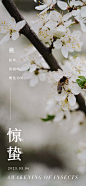 惊蛰海报-志设网-zs9.com