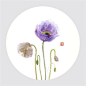 幽花疏淡更香饶——《花间集》其三【绘师微博：鹿荷】