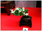 日本园艺展览 - 白毛 - 白毛的博客