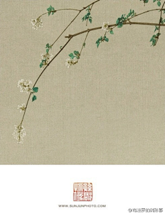 味道有点怪采集到中式/所有