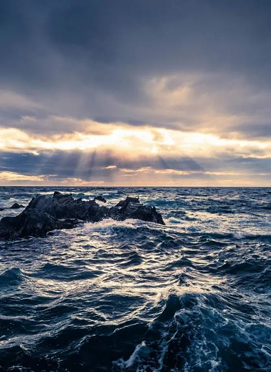 自制力强的人，都不会很差：能坚持早起，能坚持锻炼，能坚持读书；不会消耗自已的时间去和人家争论，不会浪费太多精力去讨好无关的人。_天国的嫁衣 - 美丽鸟