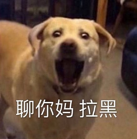 可爱宠物表情包 ​​​​