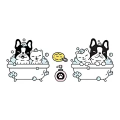 矢量狗猫法国斗牛犬淋浴浴缸卡通