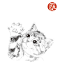 《画给喵星人的小素描》——献给最爱的喵星人的抒情小画册，为家里的猫主子画张小像吧！萌萌的小肉垫，圆圆的大眼睛~只是想一想，手中的画笔就按耐不住了呀!o(>w<)o