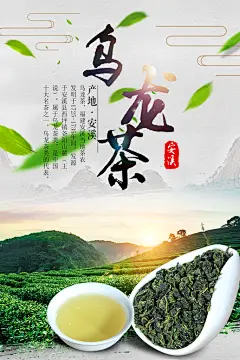 茶叶文化宣传海报