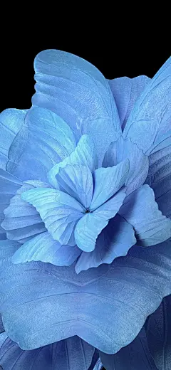 最新-壁纸湖-为壁纸控攒宝藏