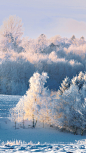冬季唯美风景H5背景_新图网 https://ixintu.com 雪地 雪山 树林 天空 清新 H5 h5 摄影 风景