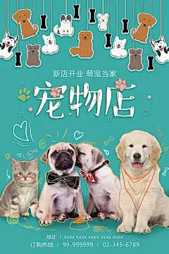 宠物店海报宣传招聘设计单页广告