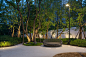 Vanke Boulevard in Zhengzhou, China by A&N landscape Design : City Renovation. Metropolitan Model for Park Aesthetics
