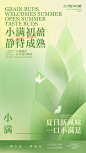 小满节气海报-源文件