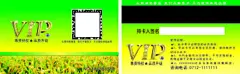 农业会员卡,会员卡,,绿色,,,农业,,,,稻谷,,,VIP,cdr,精品名片卡,精品模板,模板素材,网,模板网站,模板下载编号2427911@北坤人素材