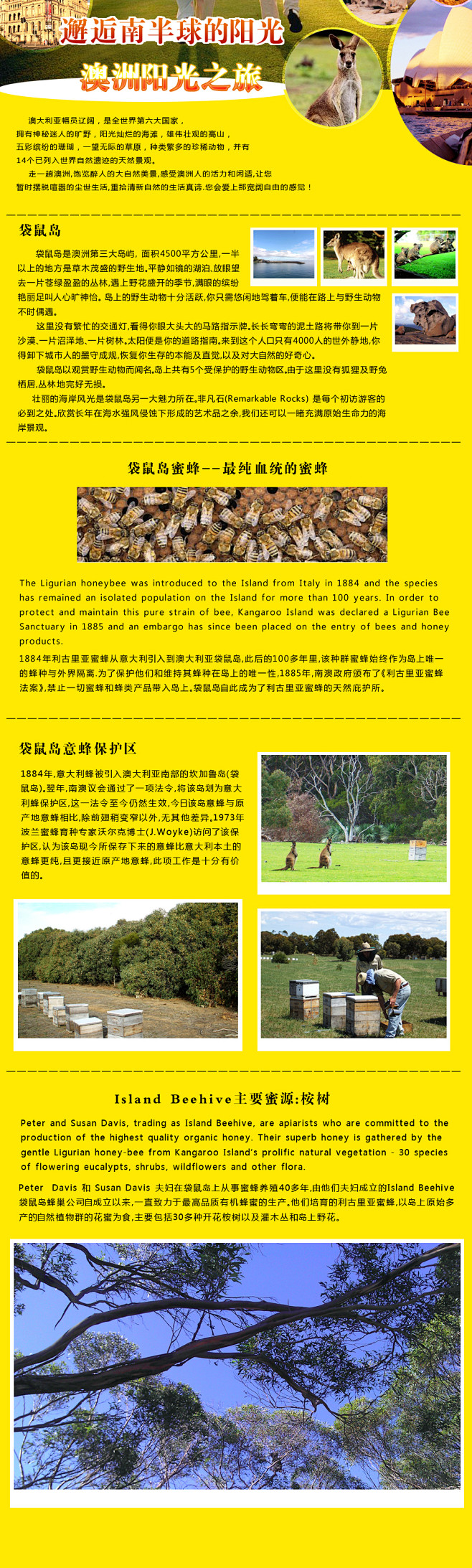 澳洲板块副本