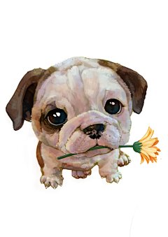 送你一朵小黄花