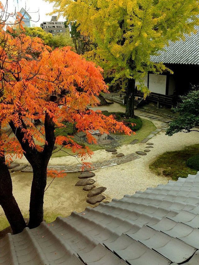 wesley88从z286797966转采于2016-08-18 13:37:37四天王寺,极乐净土之