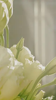 
·小清新生活随景壁纸 . ↟
·阳光的问候
·风吹过你的城市
·告诉我那里阳光的温存…

#摄影##盛夏光影##非原创# ​​​​