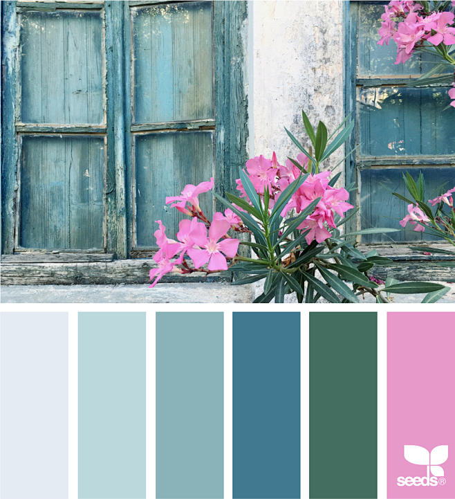 blue sea Archives | ...