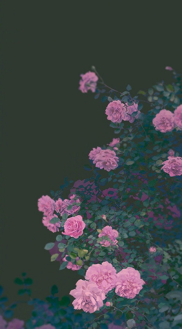 伊吹五月#伊吹鸡腿子