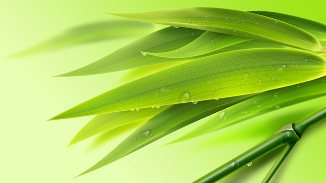 绿色竹叶背景PSD分层素材图片