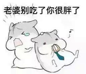 仓鼠漫画图片_360图片