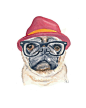 Pug Watercolor Painting Print - Hipster Dog, Hipster Animal, 8x10 Print, Funny Watercolour on Etsy, $17.68: 