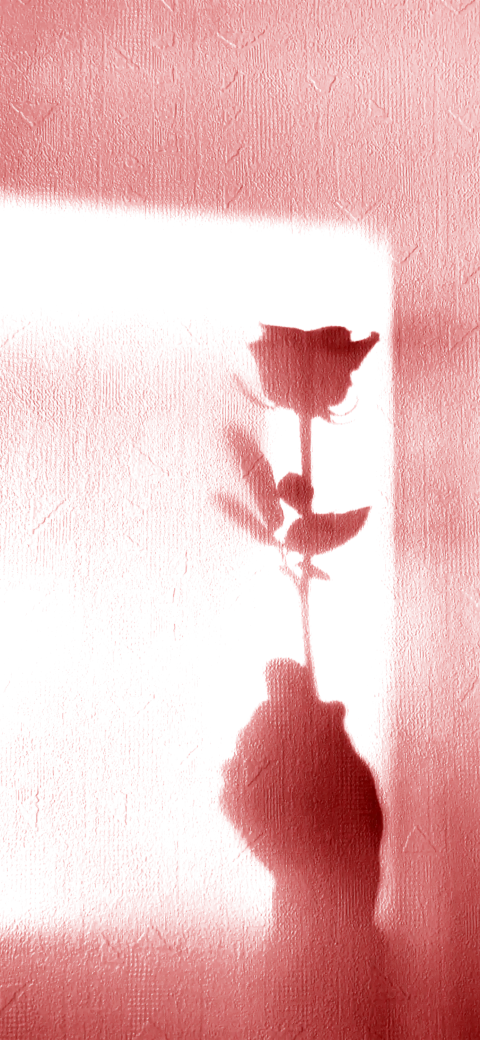 四个投影2
