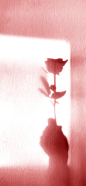 四个投影2