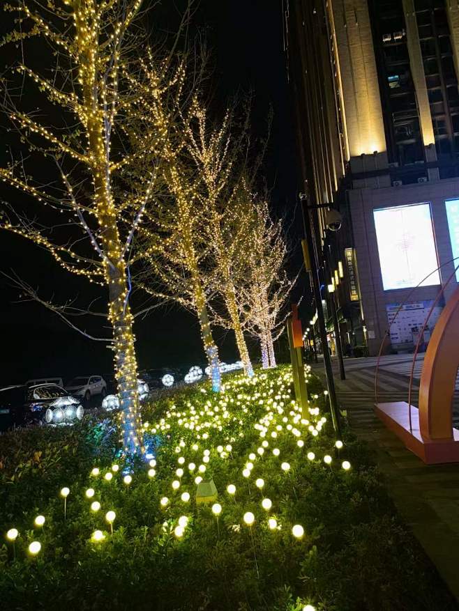灌木丛 夜景亮化 景观