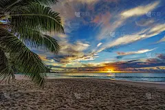 透过棕榈叶在日落的安西乔其纱，praslin，塞舌尔4
