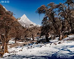镜头下川西高原的春雪，被誉为白色的童话世界太美了！