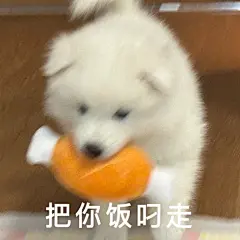 来点耶耶表情包！ - 小红书