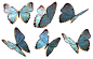 butterflies_2_png_stock_by_jumpfer_stock-d6u4j7r.png (2711×1747)
