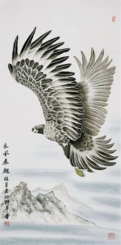 ≡*緈諨采集到鹰