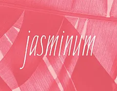 个性自由书法风格英文手写平面设计名片邀请函服饰字体 Jasminum Typeface