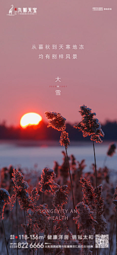 佥骞采集到大雪【源文件design006.com】