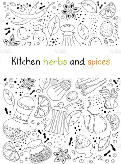厨房的药草和香料涂鸦背景