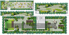 Gray--采集到LA - 平面 - 屋顶花园 - Plan
