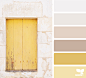 Design Seeds : Design Seeds color palettes ... posted daily for all who love color.