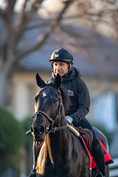 马术赛场人物运动形象