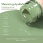 Amazon.com : SHOYUM Eucalyptus Green/Sage Green Color Gel Nail Polish 15ml, Soak Off U V LED Nail Lamp Gel Polish Nail Art Manicure Salon DIY Home 0.51Oz Gift for Women : Beauty & Personal Care