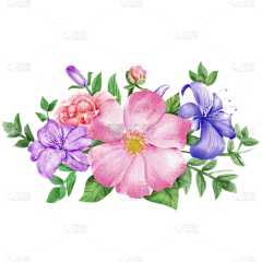 str·felix采集到可下载(1)