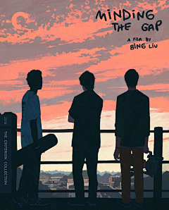 车窗外的UFO采集到the criterion collection