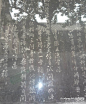 多图 2009年暑期的书法文化之旅之一：龙门石窟与香山寺, 碧落沉音旅游攻略
